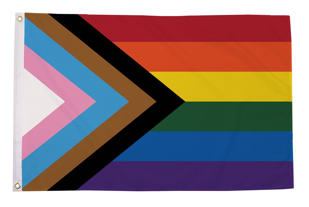 Progress Pride Flagg 150X250 Cm