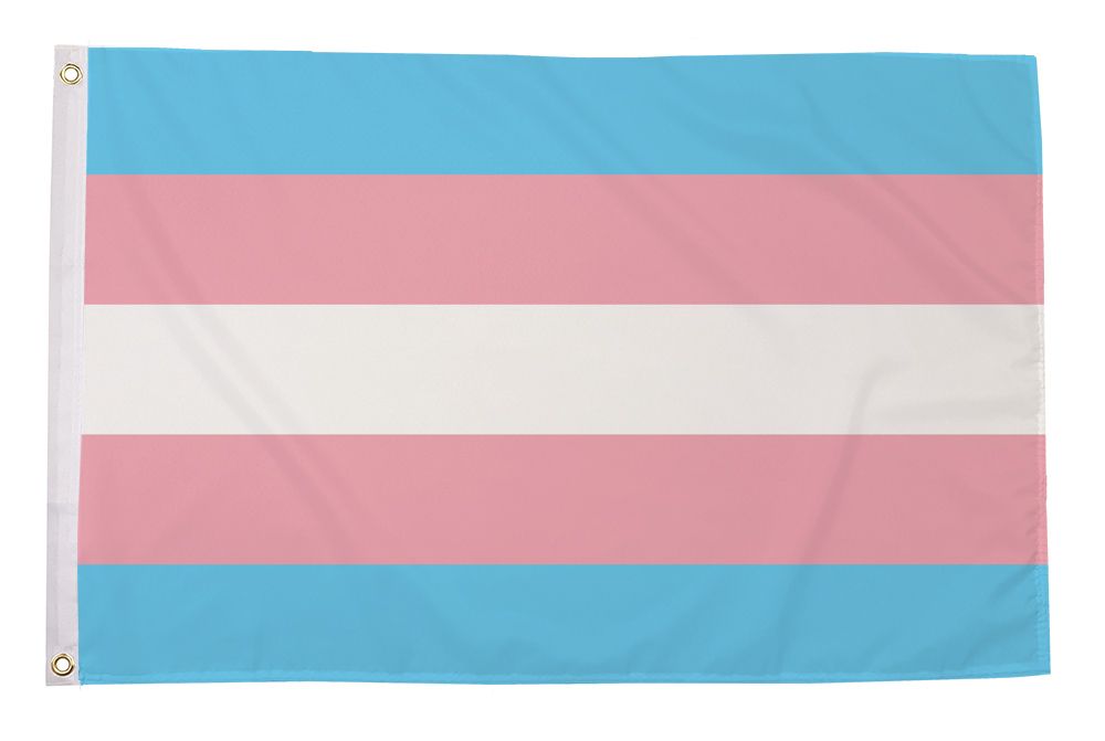 Trans Pride Flagg 240x150