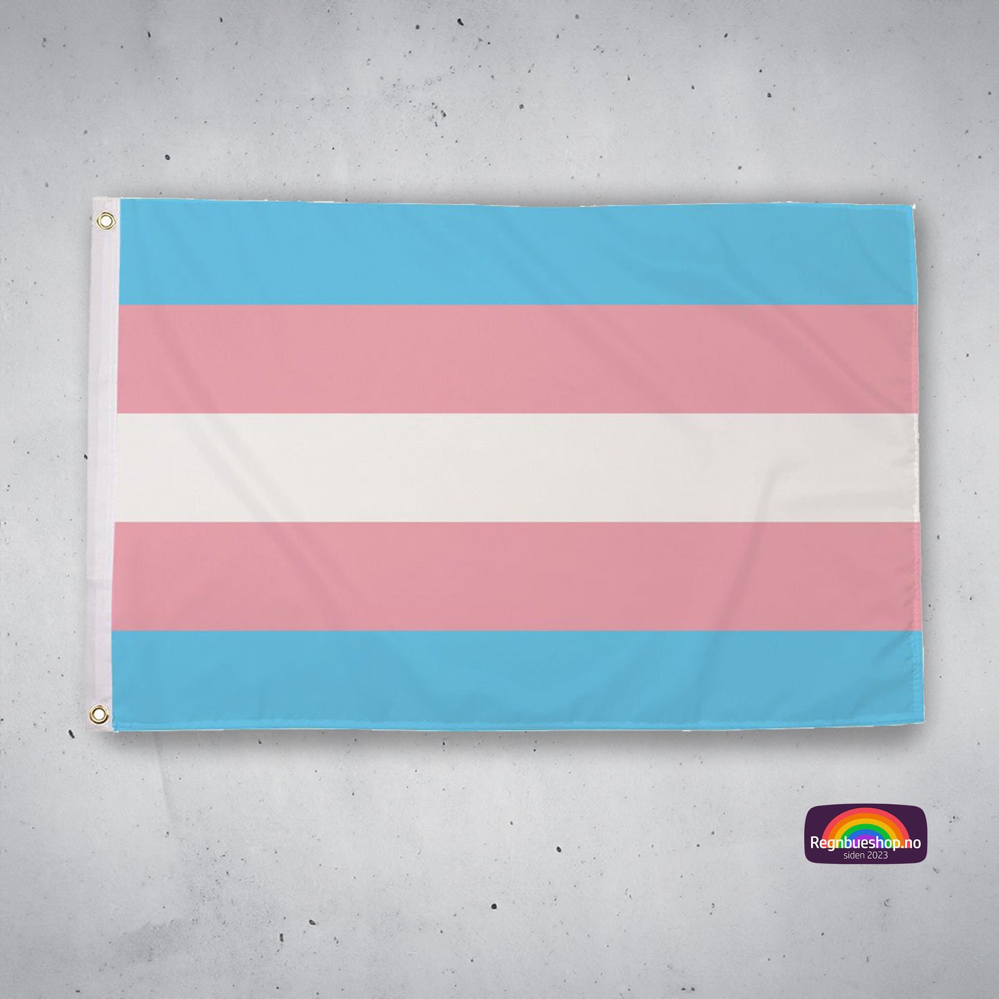 Trans Pride Flagg 240x150