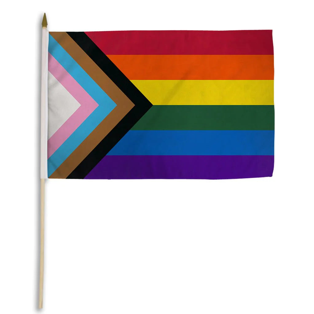 Progress Pride Håndflagg 30x45 cm