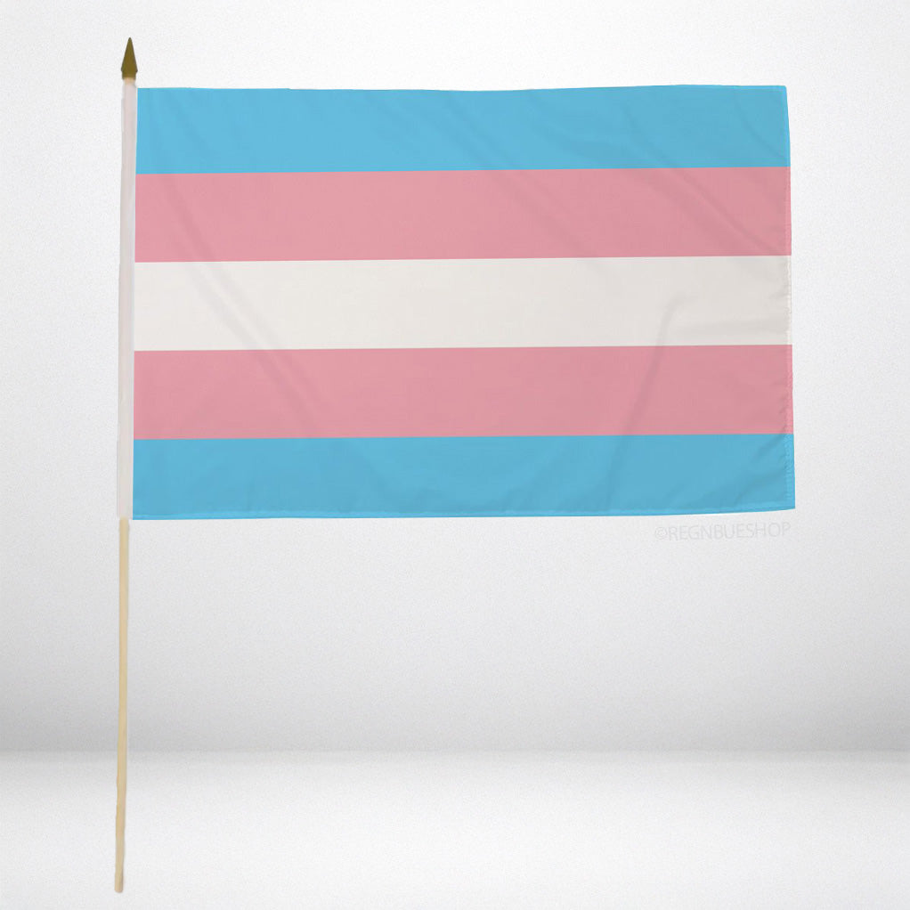 Trans Håndflagg 30x45 cm