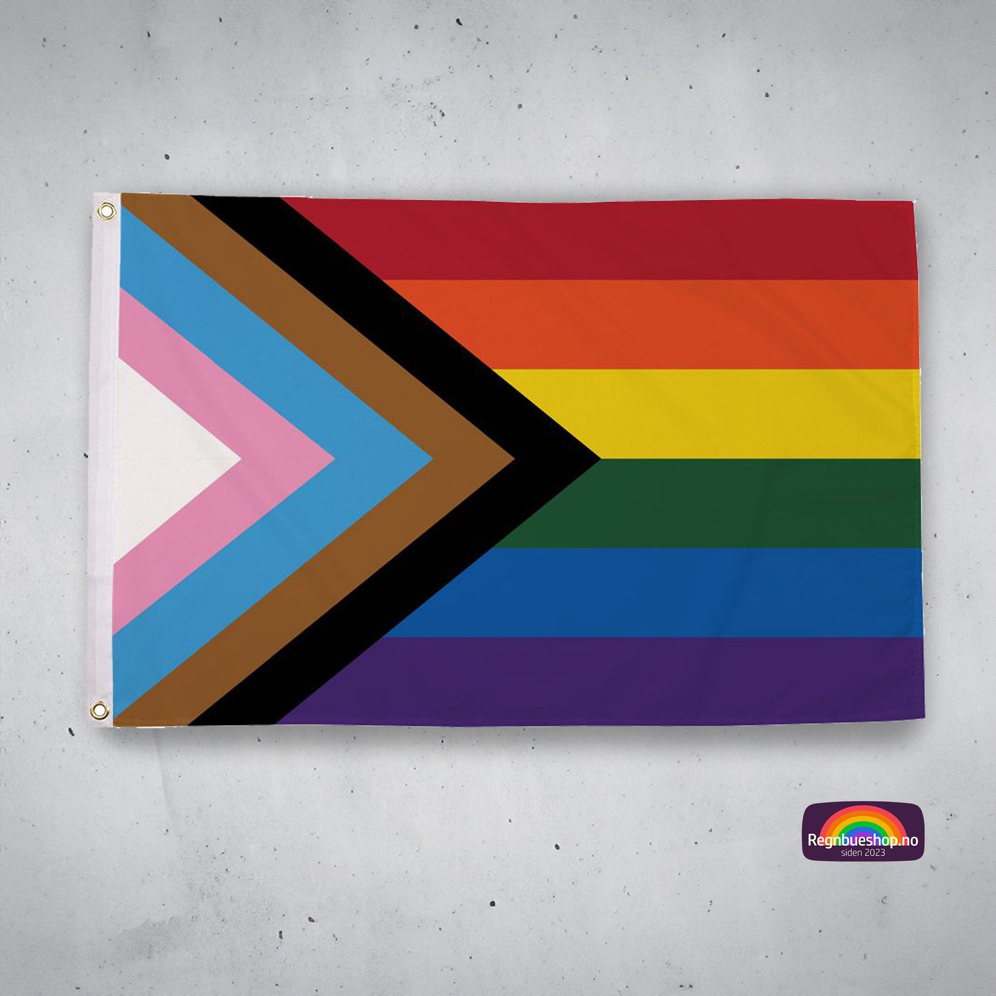 Progress Pride Flagg 150X250 Cm