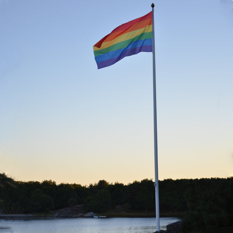 Pride Flaggstang Flagg 150x280 cm