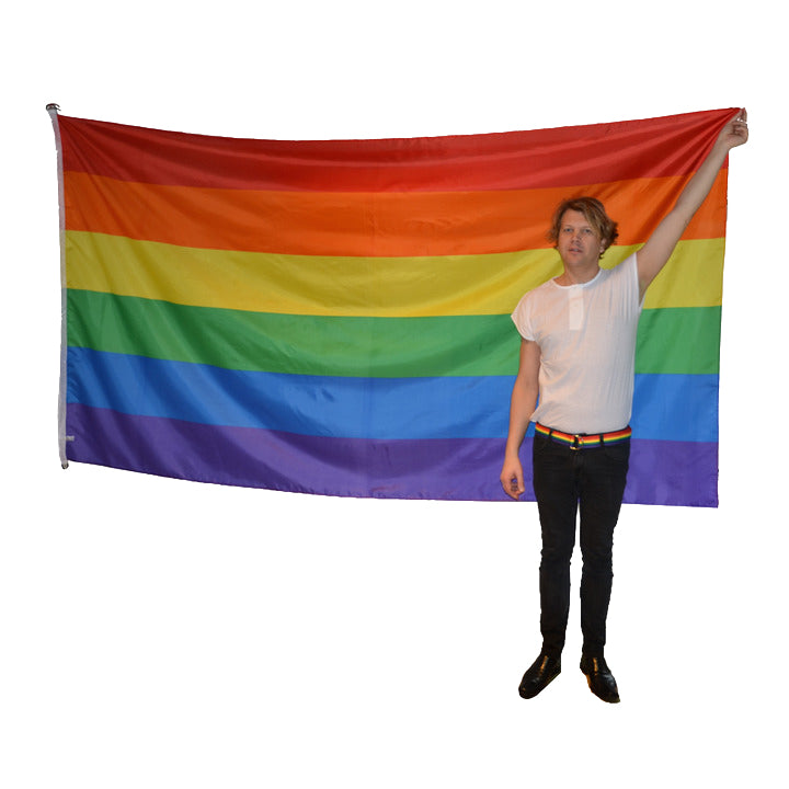 Pride Flaggstang Flagg 150x280 cm