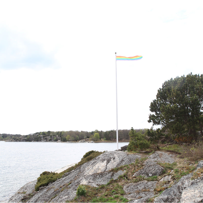 Pride Vimpel Regnbueflagg flaggstang 40x250 cm