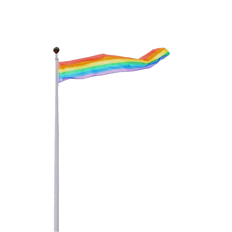 Pride Vimpel Regnbueflagg flaggstang 40x250 cm