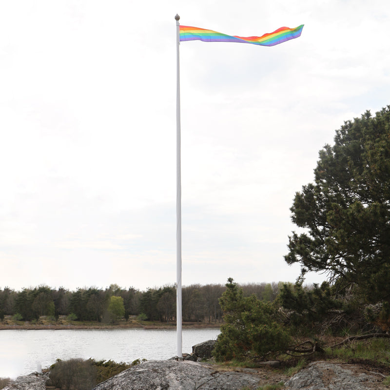 Pride Vimpel Regnbueflagg flaggstang 40x350 cm