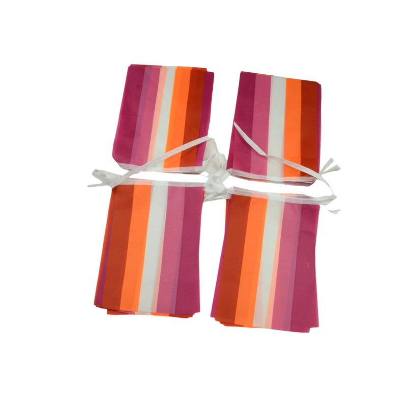 MINI Lesbisk Pride Bunting Flag 6,6 m