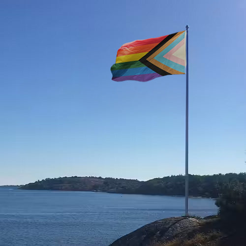 Progress Pride Flaggstang Flagg 180x300 cm