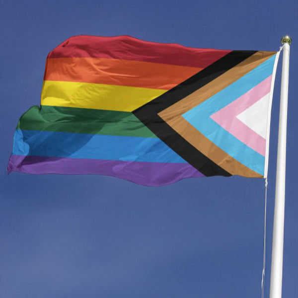 Progress Pride Flaggstang Flagg 180x300 cm