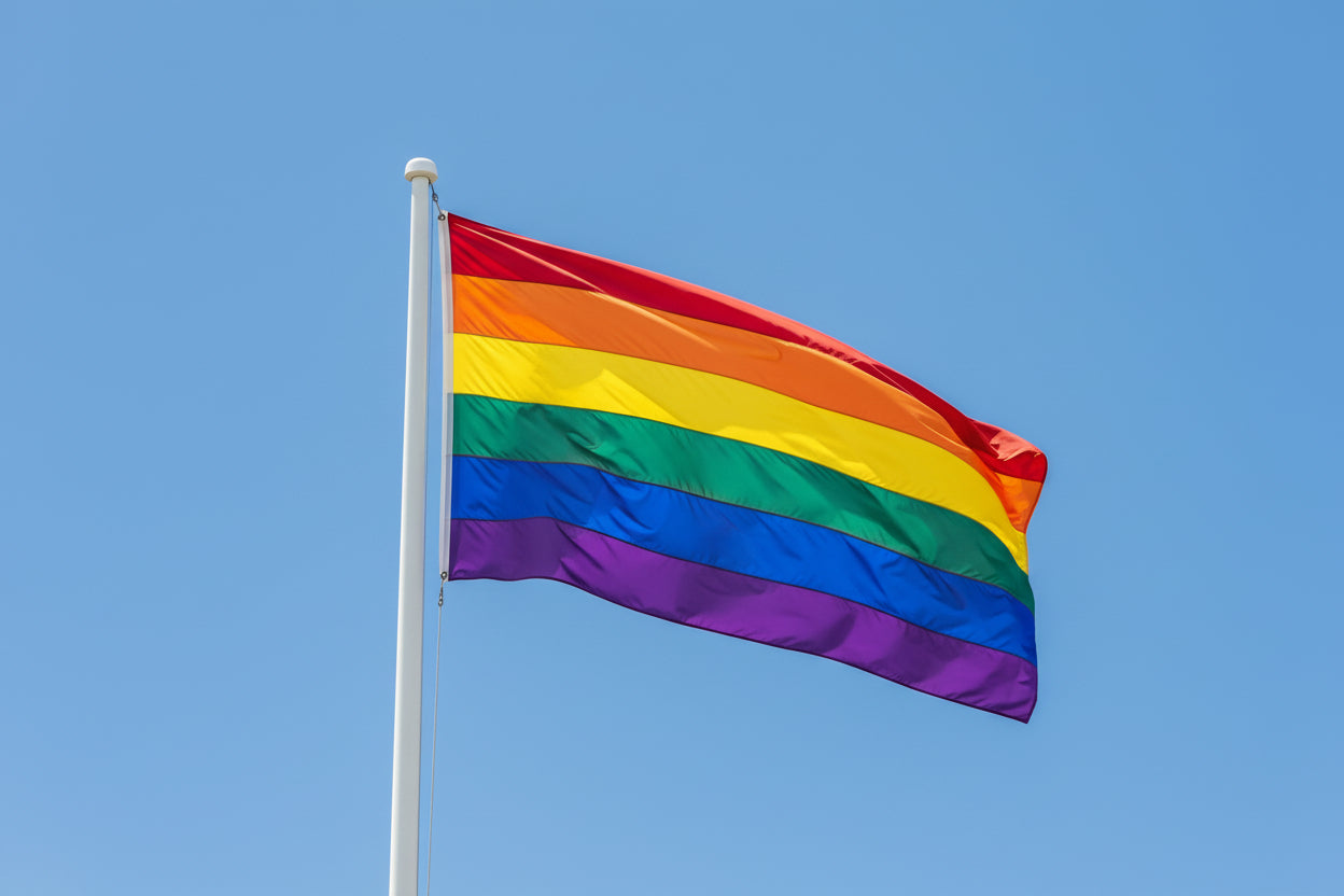 Rainbow Pride flagg HQ 151x248 cm