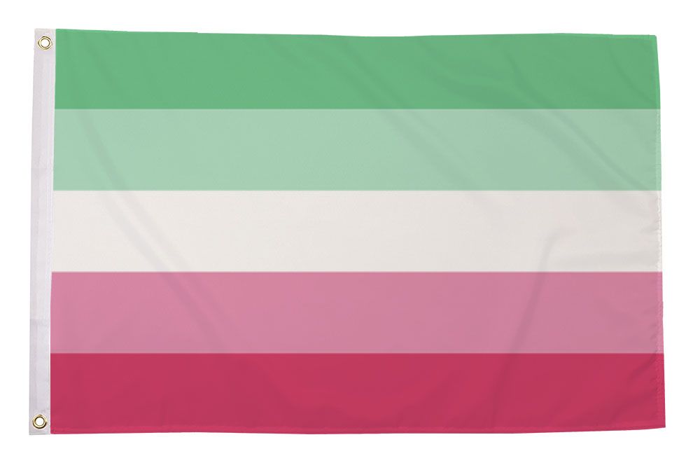 Regnbueshop - Abrosexual Pride flagg 90x150 cm - Flagg
