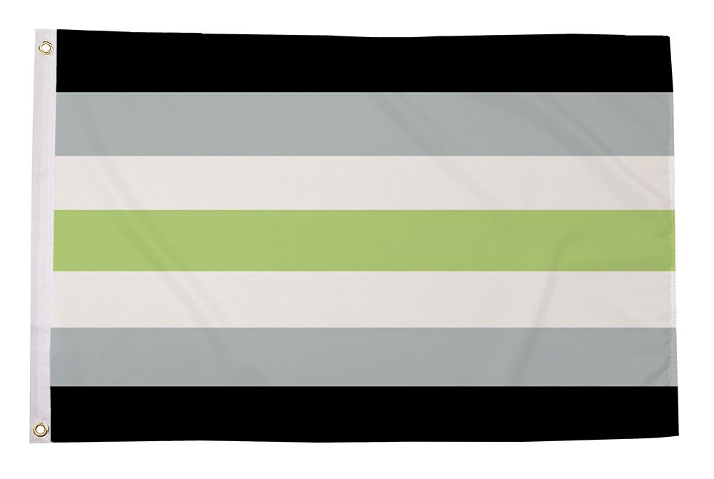 Regnbueshop - Agender Pride flagg 90x150 cm - Flagg