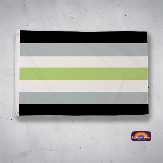 Regnbueshop - Agender Pride flagg 90x150 cm - Flagg