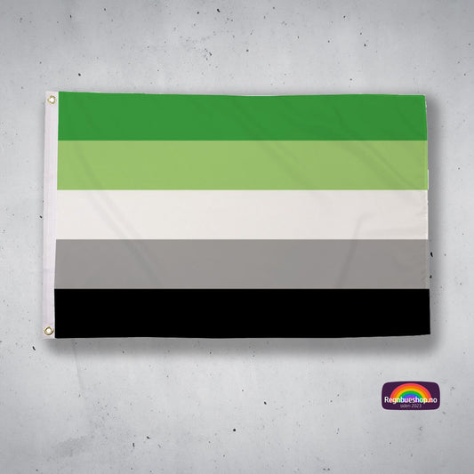Regnbueshop - Aromantic Pride flagg 90x150 cm - Flagg