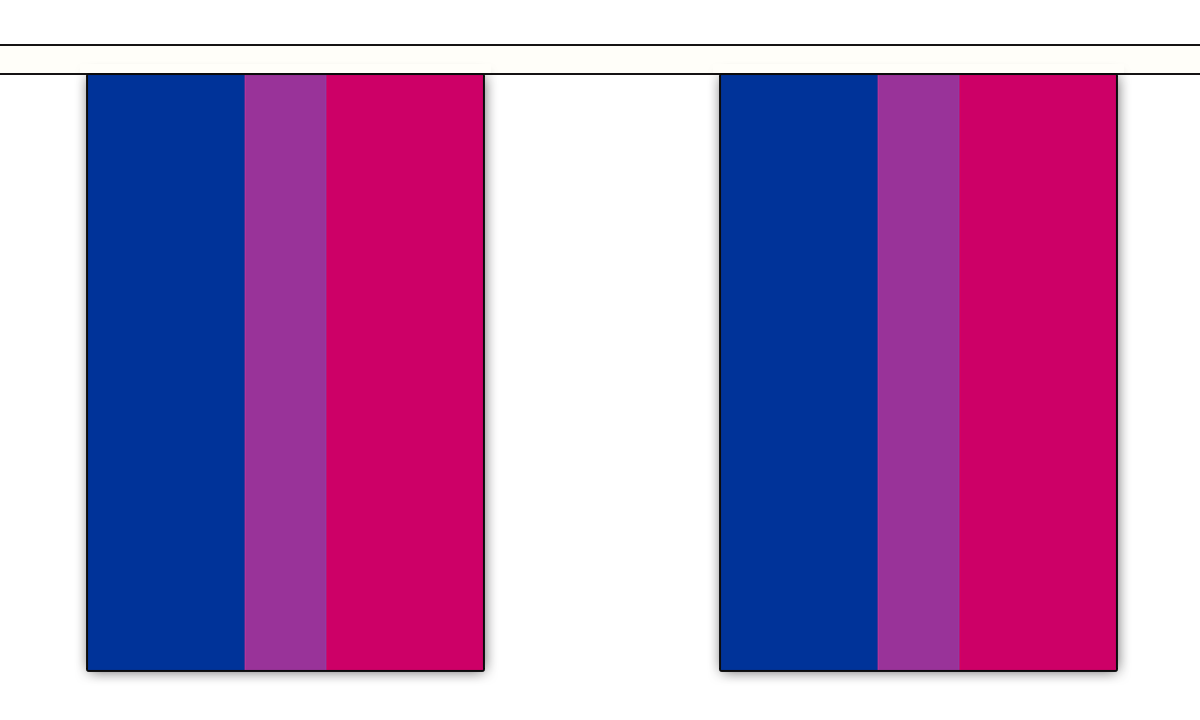 Regnbueshop - Bi Bunting Flag 3 m - Flagg