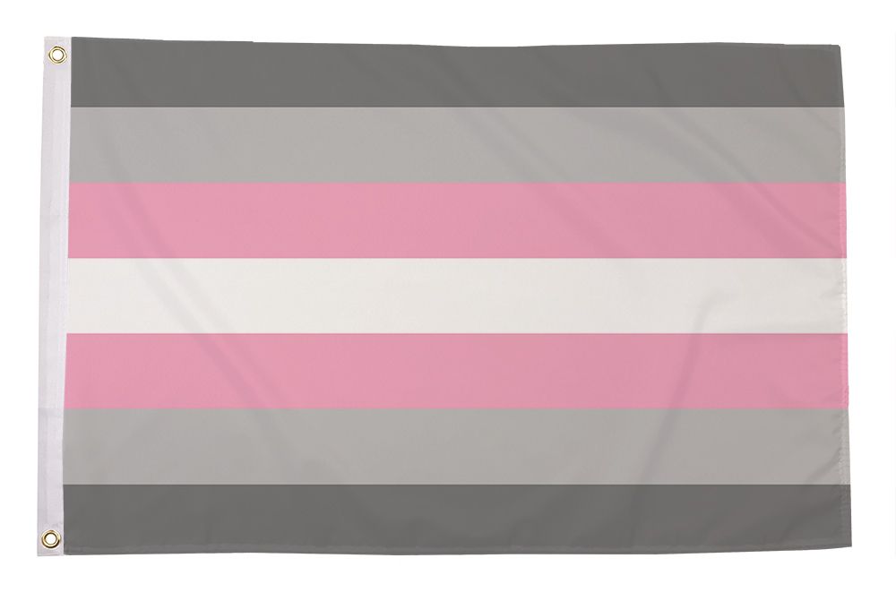 Regnbueshop - Demigirl Pride flagg 90x150 cm - Flagg