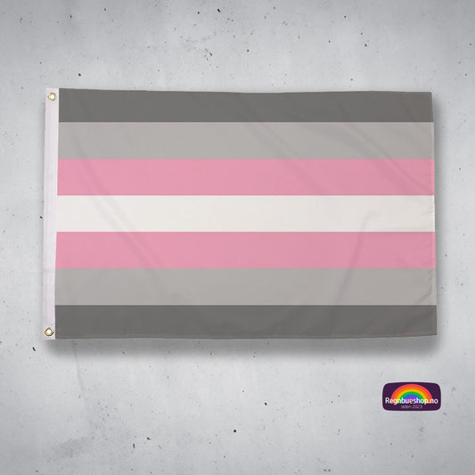 Regnbueshop - Demigirl Pride flagg 90x150 cm - Flagg