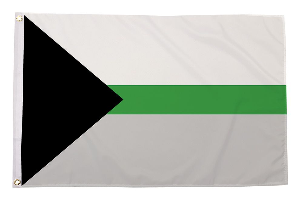 Regnbueshop - Demiromantic flagg 90x150 cm - Flagg