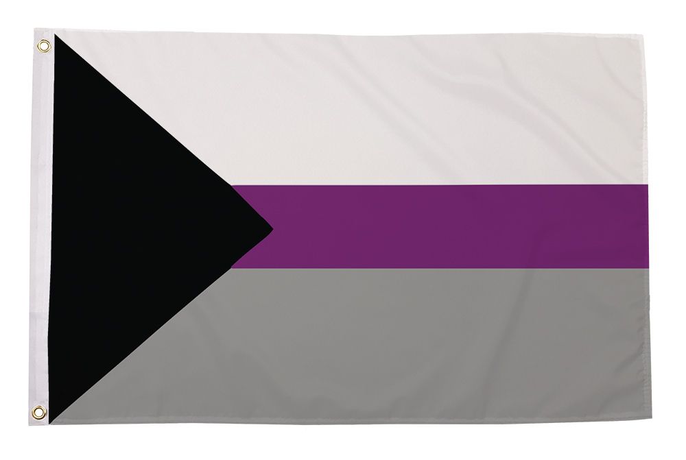 Regnbueshop - Demiseksuell flagg 90x150 cm - Flagg