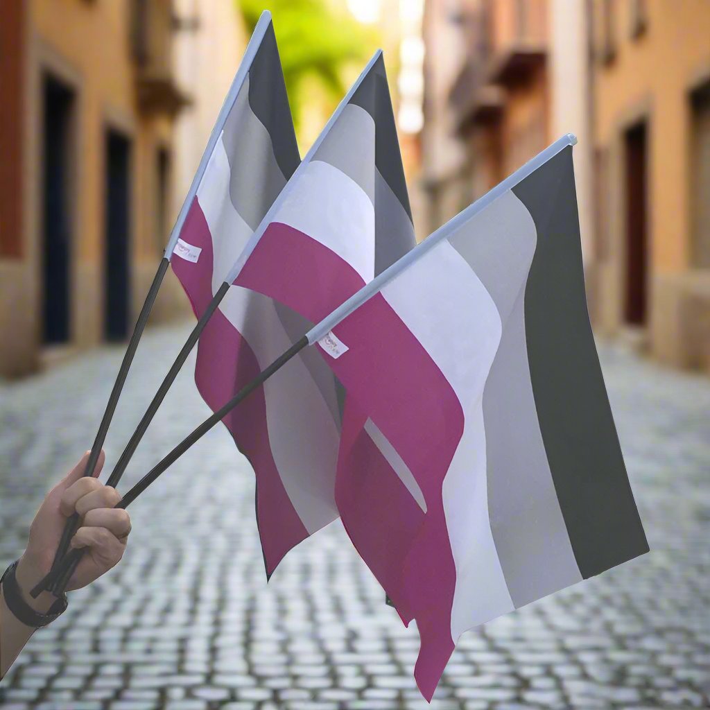 Regnbueshop - Flagg Aseksuell 40X60 Cm - Flagg