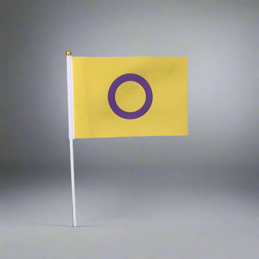 Regnbueshop - Flagg Interseksuell 21X14 Cm - Flagg