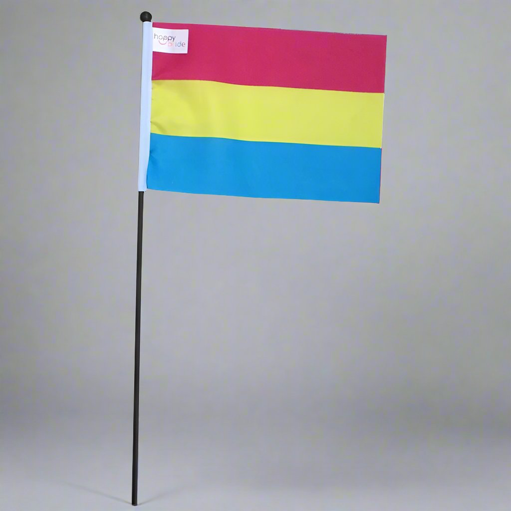 Regnbueshop - Flagg Panseksuell 21X14 Cm - Flagg