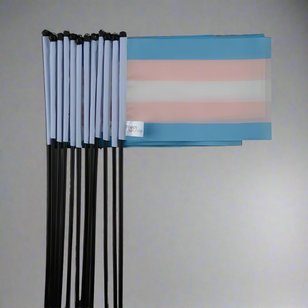 Regnbueshop - Flagg Trans 21X14 Cm - Flagg