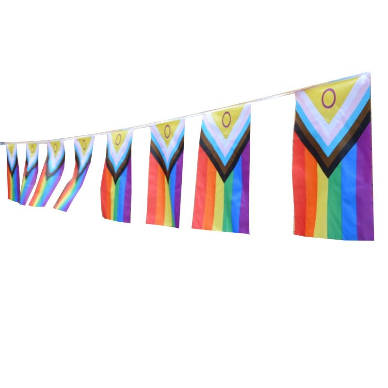 Regnbueshop - Inter Progress Bunting Flag Medium - Flagg