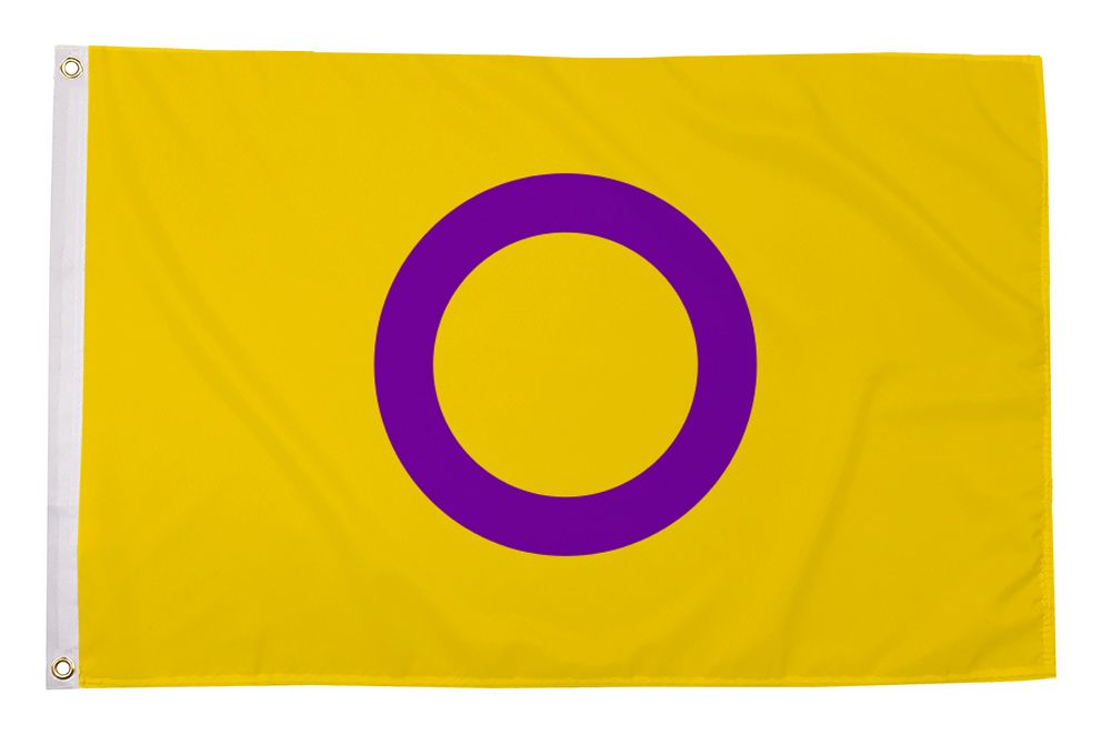 Regnbueshop - Intersex Pride flagg 90x150 cm - Flagg