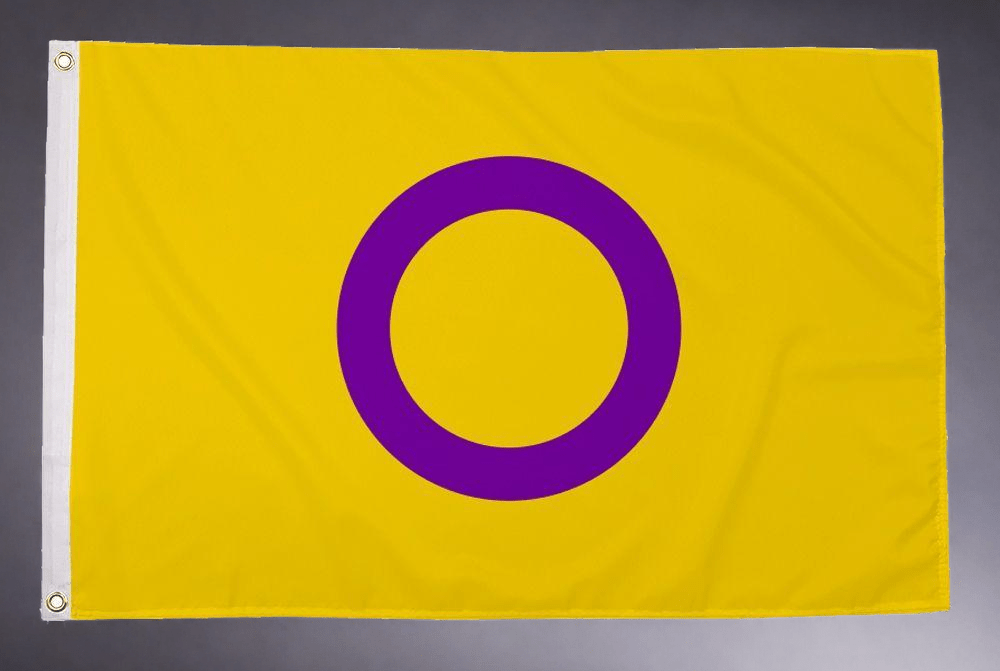 Regnbueshop - Intersex Pride flagg 90x150 cm - Flagg