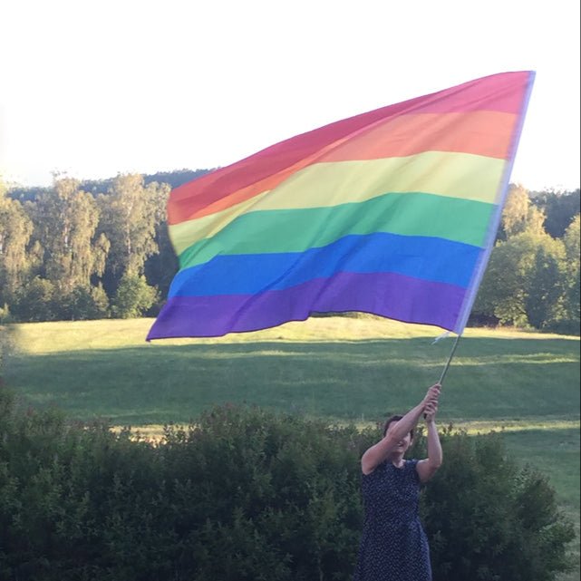 Regnbueshop - Mega Regnbue Håndflagg 150x230 cm - Flagg