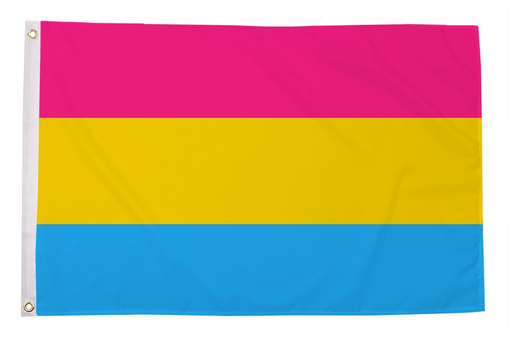 Regnbueshop - Pan Pride Flagg 90x60 cm - Flagg