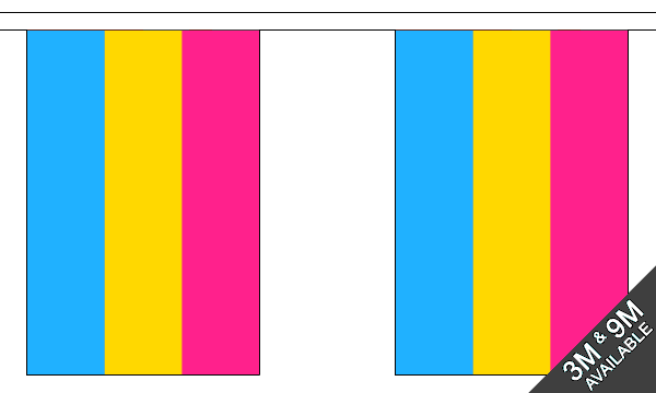 Pan Bunting Flag 3 m