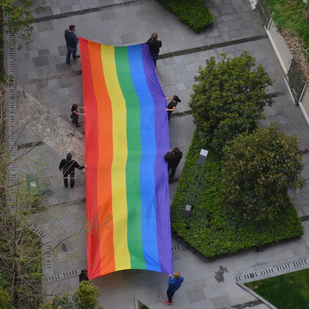 Regnbueshop - Paradeflagg Pride 3x10 M - Flagg