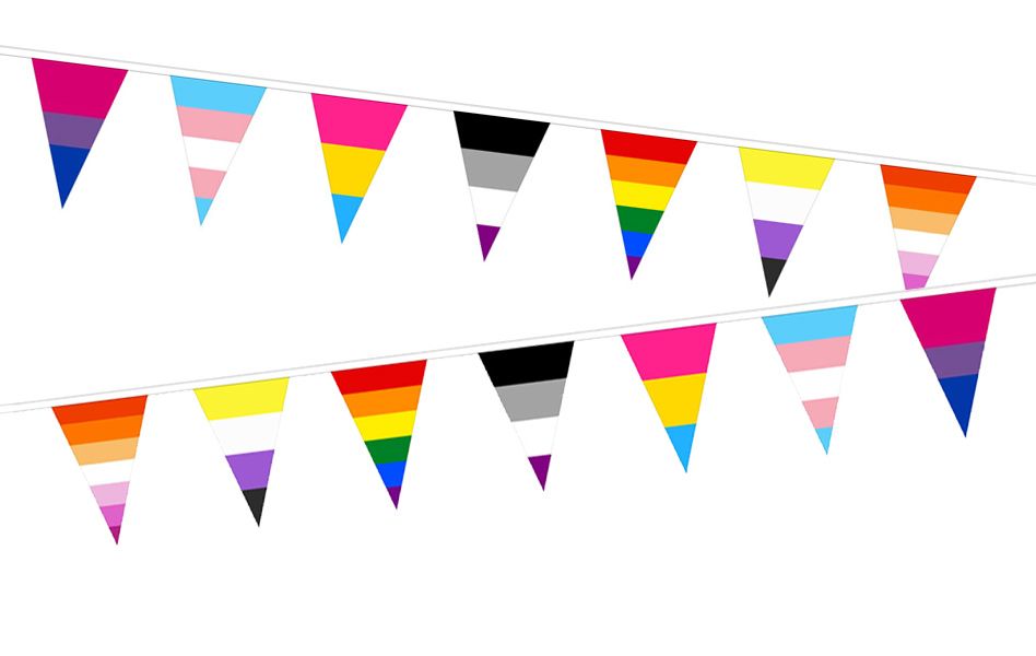 Regnbueshop - Pride Mix Trianglel Bunting Flag 15 meter - Flagg