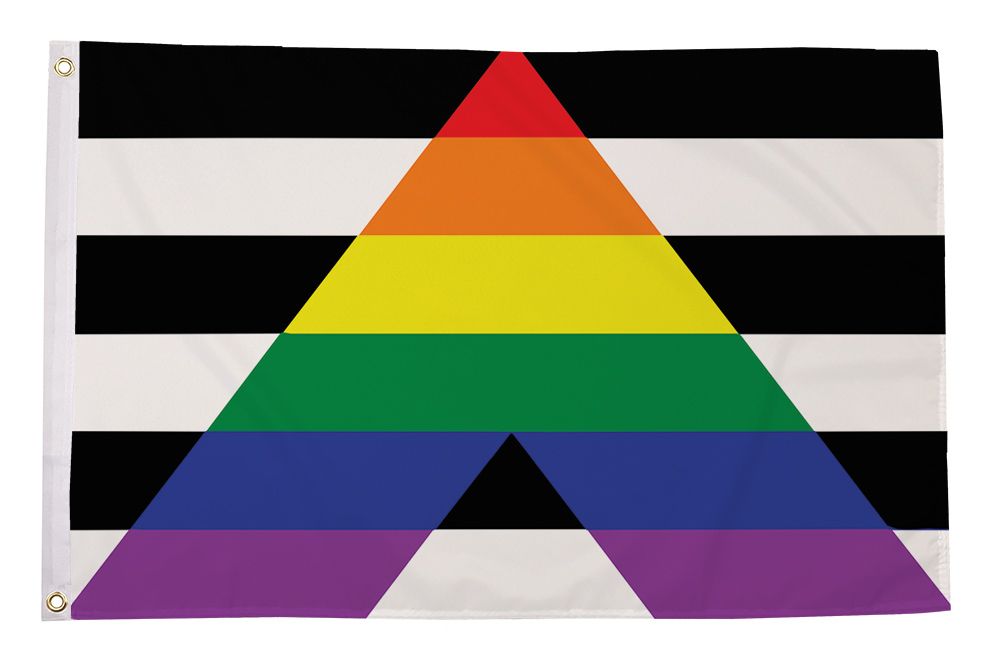 Regnbueshop - Straight Ally Pride flagg 90x150 cm - Flagg
