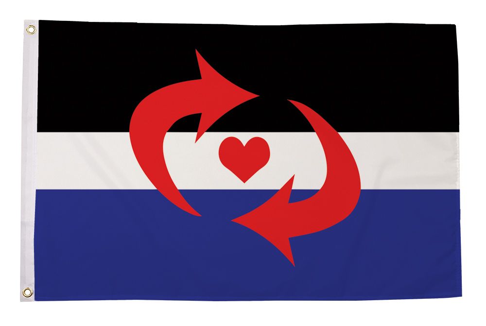 Regnbueshop - Switch Pride flagg 90x150 cm - Flagg
