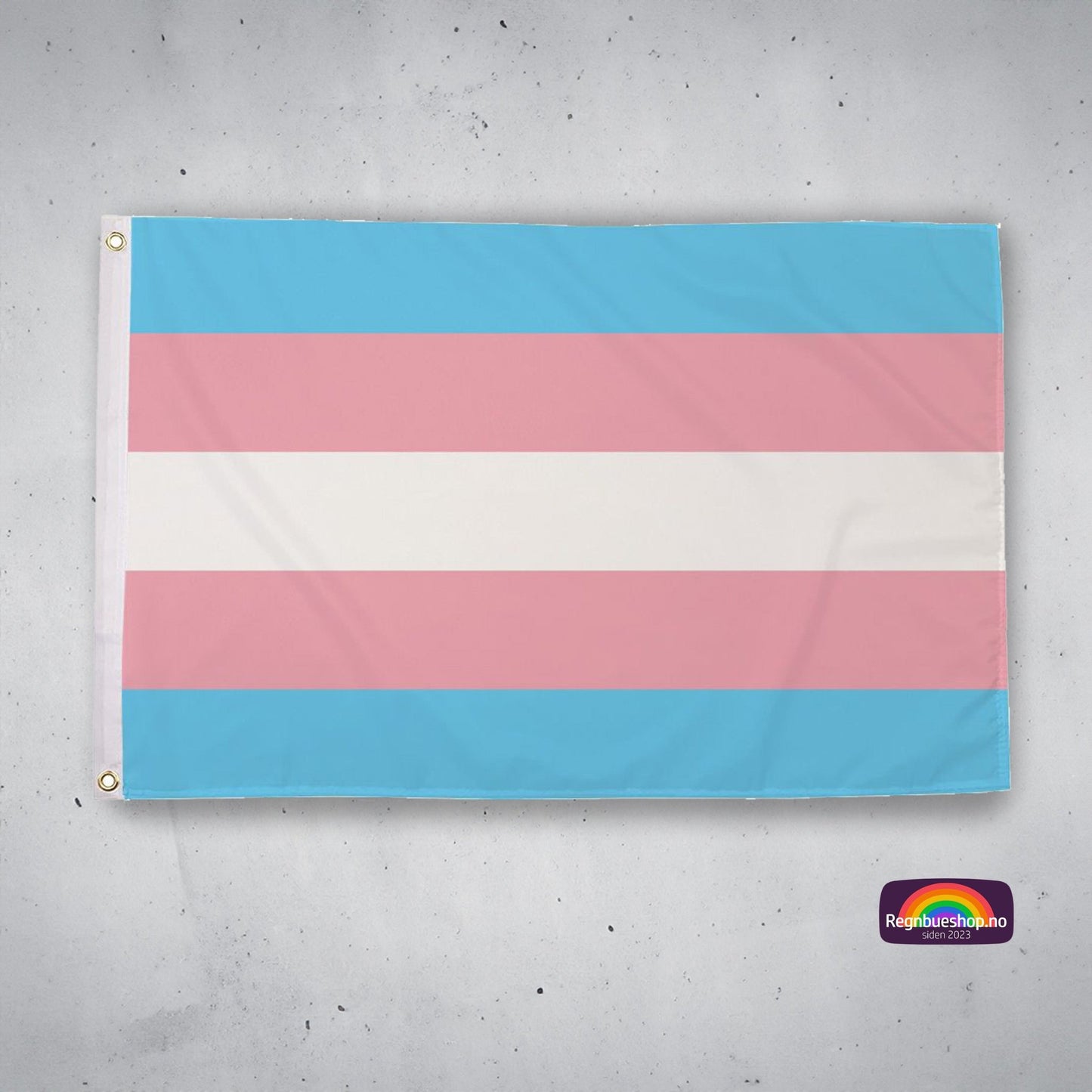 Regnbueshop - Trans Pride Flagg 90x60 cm - Flagg