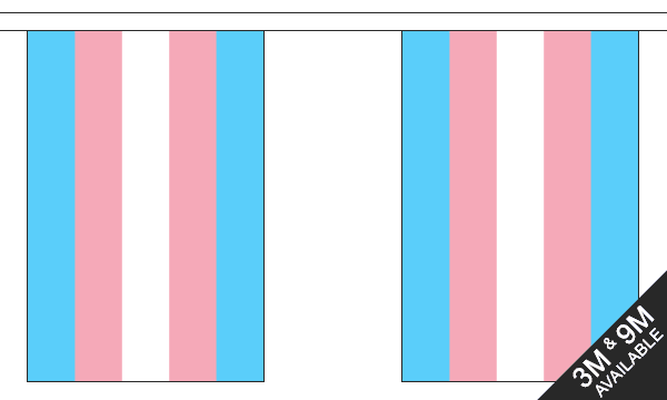 Regnbueshop - Transgender Bunting Flag 9 m - Flagg