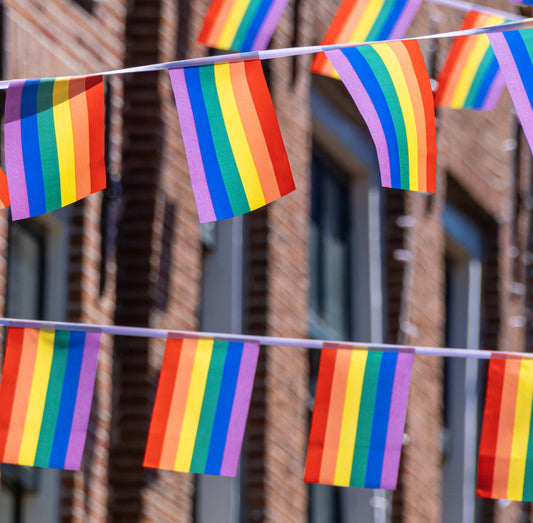 Hat mot Pride-flagget handler ikke om "mening" – men om diskriminering