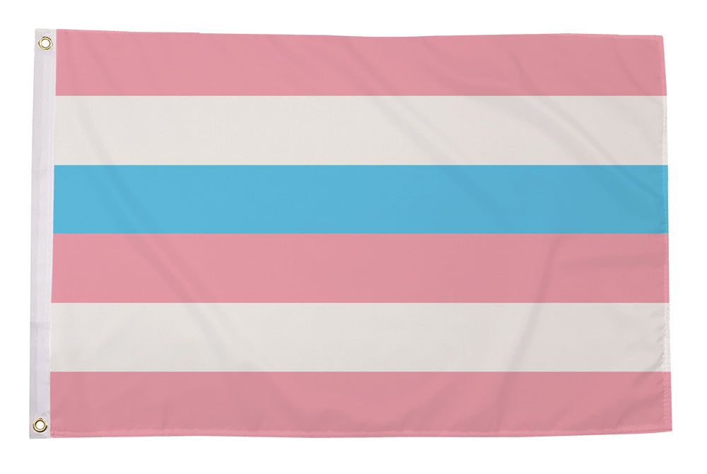 Intersex (Pink/Blue) Pride Flagg 90x150 cm