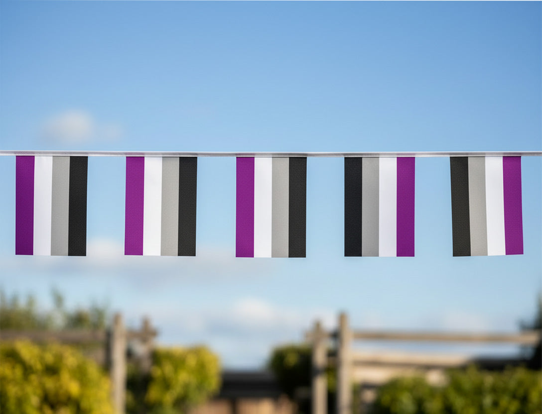 Aseksuel Bunting Flagg 9 m