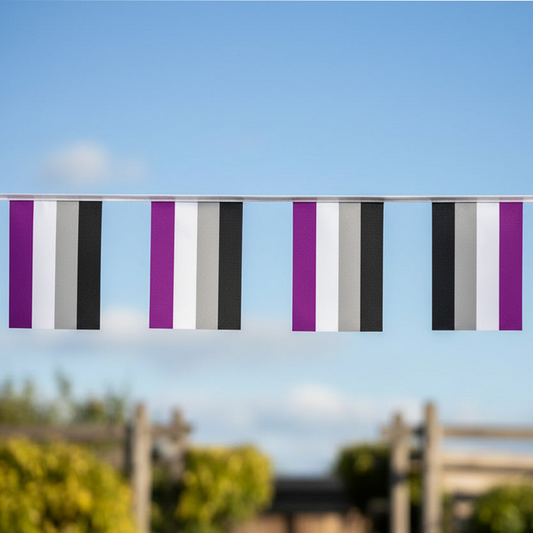 Aseksuel Bunting Flagg 9 m