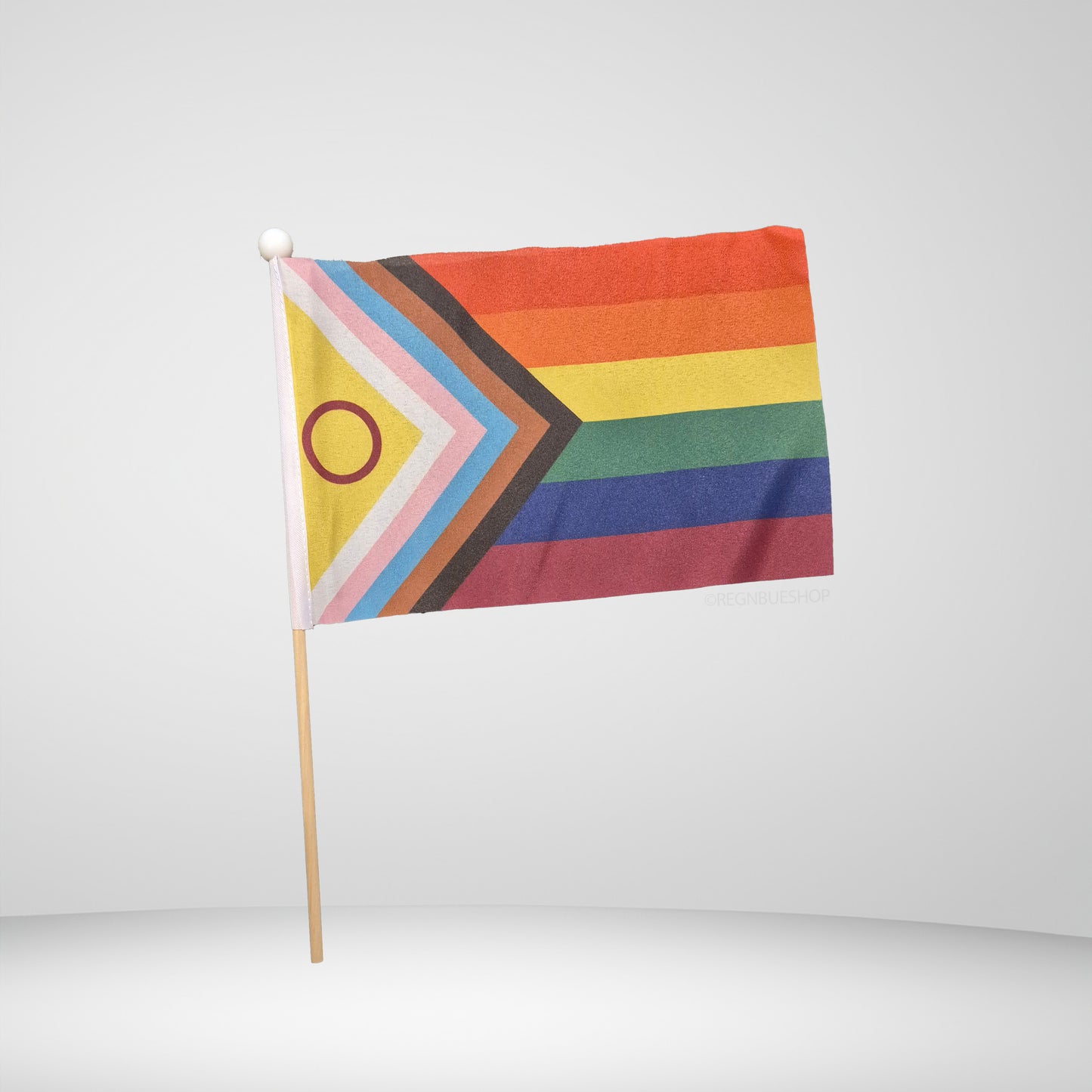 Flagg Intersex-Inclusive Progress Pride Lite 22,5x15 cm