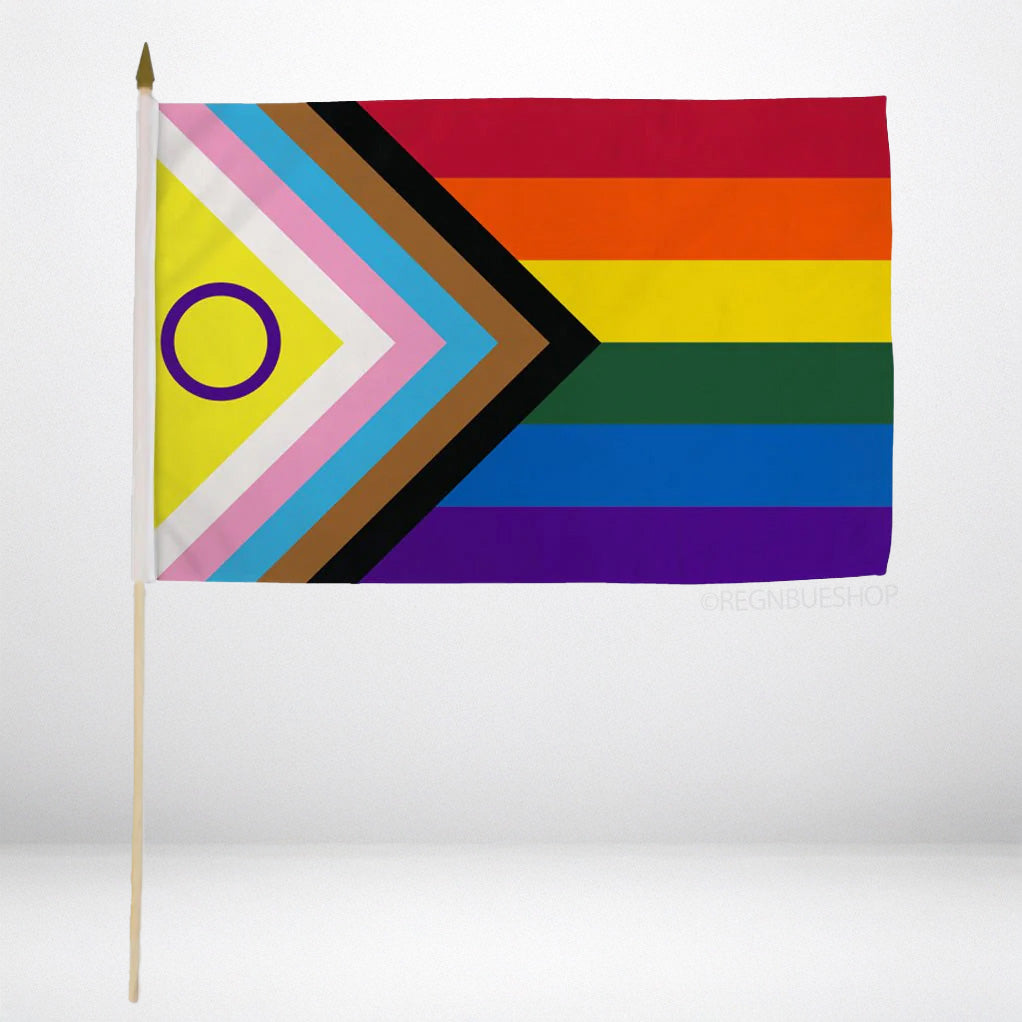 Inclusive Pride Håndflagg 30x45 cm