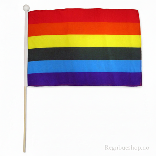 Regnbue Håndflagg 30x45 cm