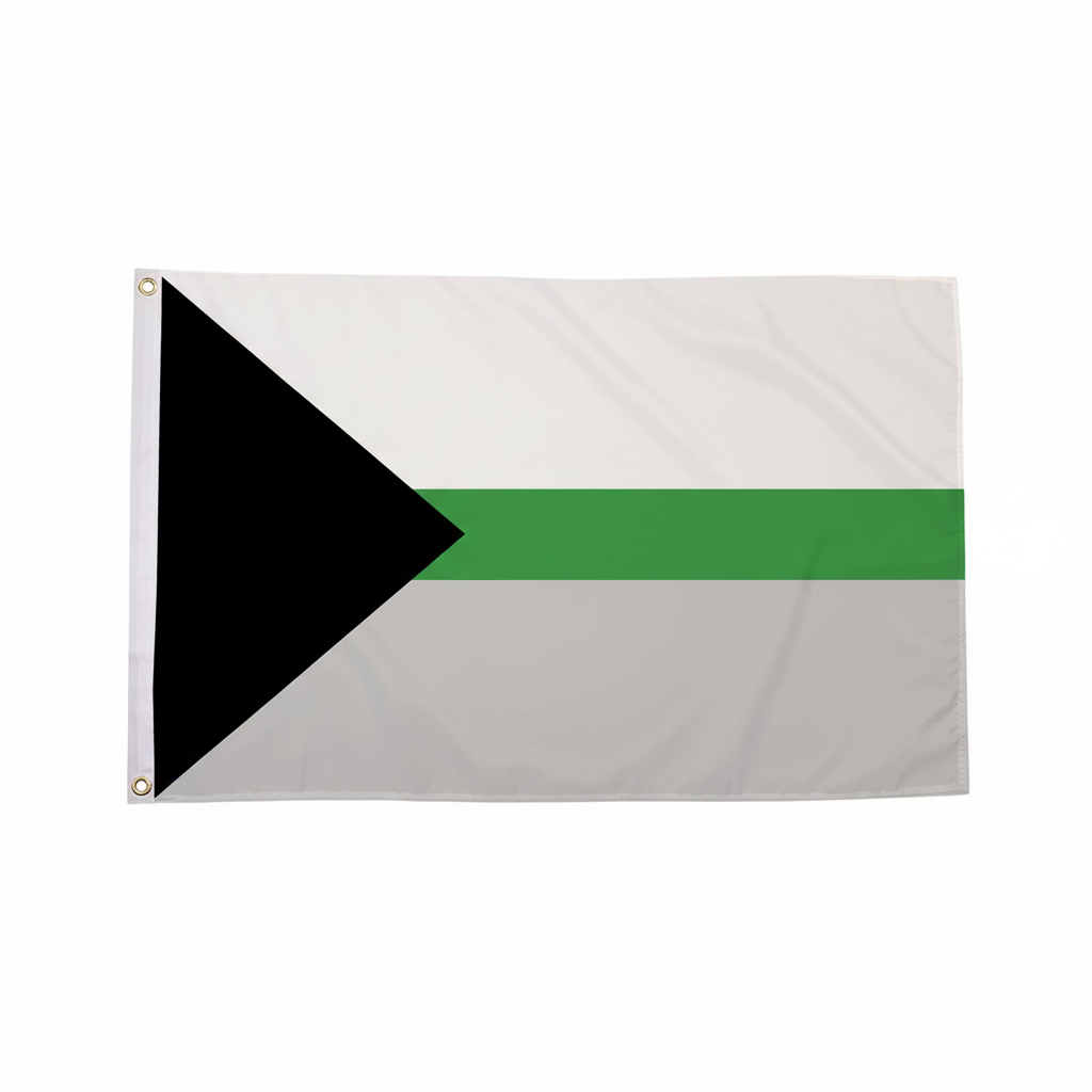 Demiromantic flagg 90x150 cm