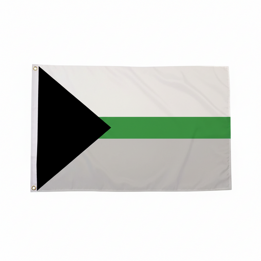 Demiromantic flagg 90x150 cm