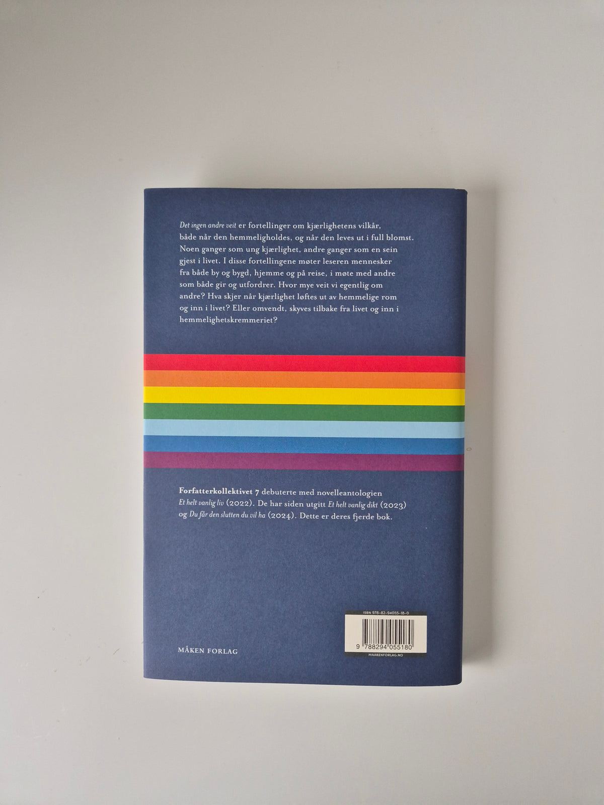 Det ingen andre veit – Forfatterkollektivet 7 | Skeiv litteratur bakside